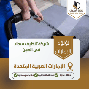 شركة تنظيف سجاد فى العين شركة تنظيف سجاد فى العين