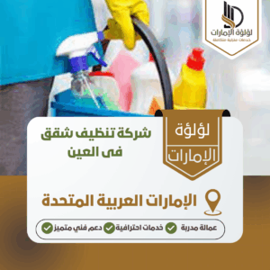 شركة تنظيف شقق فى العين شركة تنظيف شقق فى العين