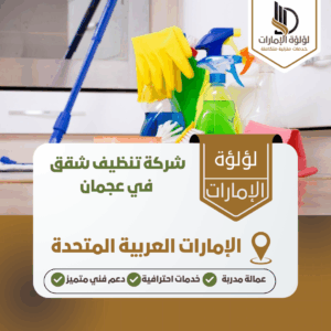 شركة تنظيف شقق في عجمان شركة تنظيف شقق في عجمان