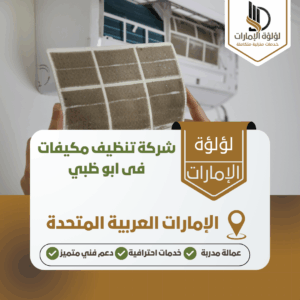 شركة تنظيف مكيفات فى ابو ظبي شركة تنظيف مكيفات فى ابو ظبي