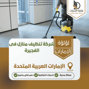 شركة تنظيف منازل فى الفجيرة شركة تنظيف منازل فى الفجيرة