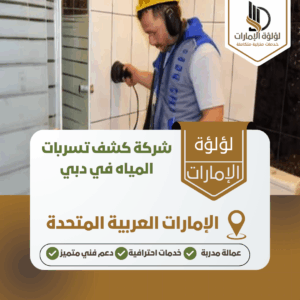 شركة كشف تسربات المياه في دبي شركة كشف تسربات المياه في دبي