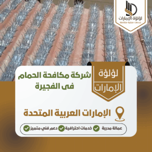 شركة مكافحة الحمام فى الفجيرة شركة مكافحة الحمام فى الفجيرة