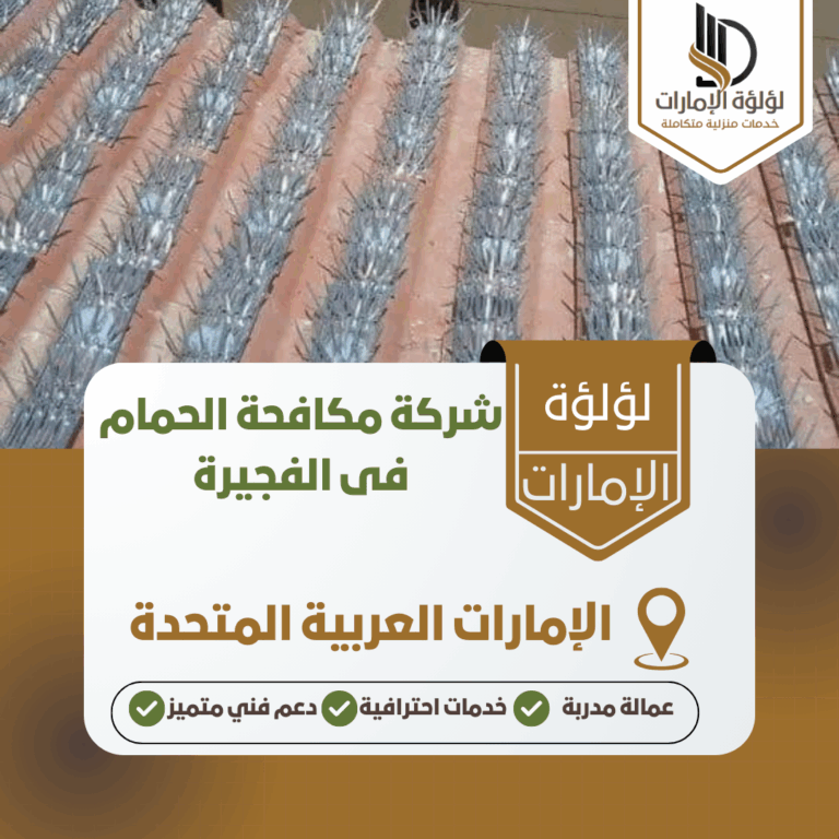 شركة مكافحة الحمام فى الفجيرة