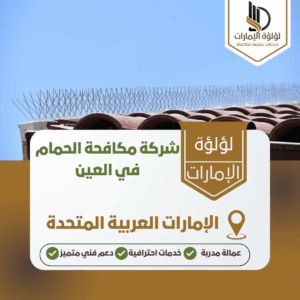 شركة مكافحة الحمام في العين شركة مكافحة الحمام في العين