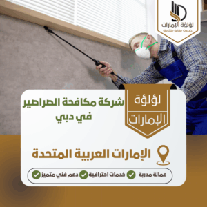 شركة مكافحة الصراصير في دبي شركة مكافحة الصراصير في دبي