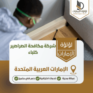 شركة مكافحة الصراصير كلباء شركة مكافحة الصراصير كلباء