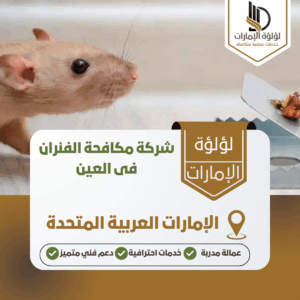شركة مكافحة الفئران فى العين شركة مكافحة الفئران فى العين