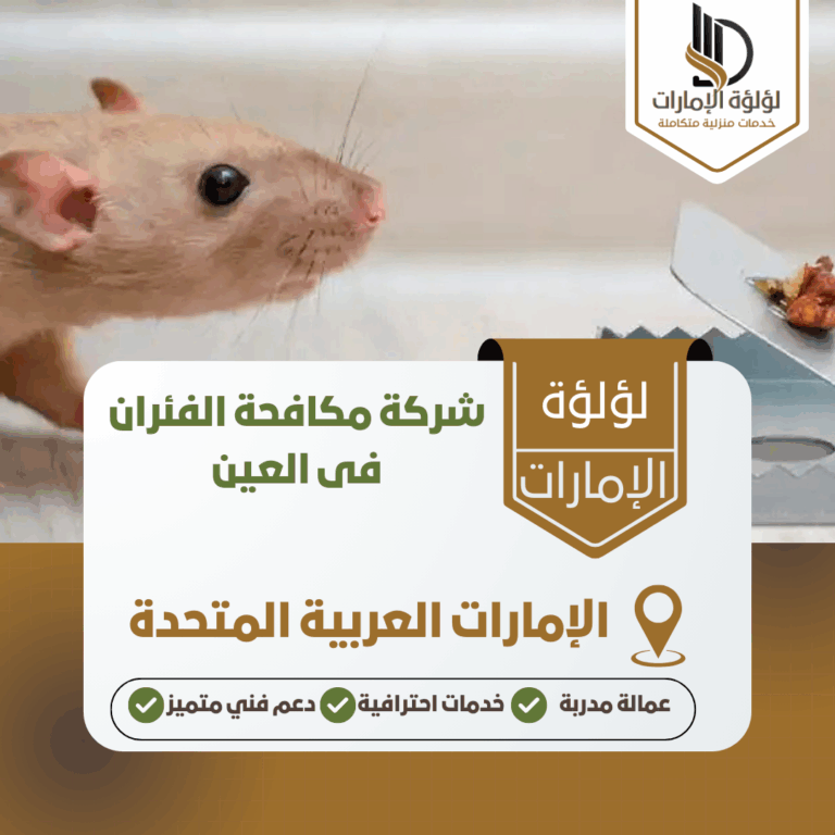 شركة مكافحة الفئران فى العين