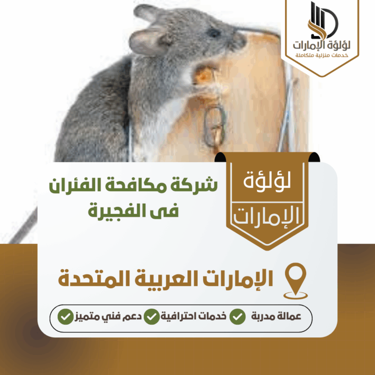 شركة مكافحة الفئران فى الفجيرة