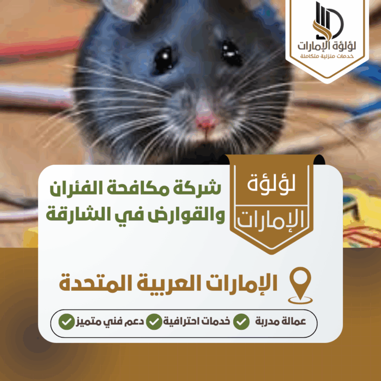 شركة مكافحة الفئران والقوارض في الشارقة
