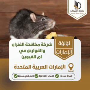 شركة مكافحة الفئران والقوارض في ام القيوين شركة مكافحة الفئران والقوارض في ام القيوين