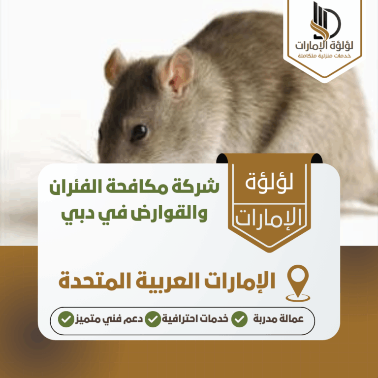 شركة مكافحة الفئران والقوارض في دبي