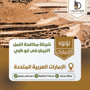 شركة مكافحة النمل الابيض فى ابو ظبي شركة مكافحة النمل الابيض فى ابو ظبي