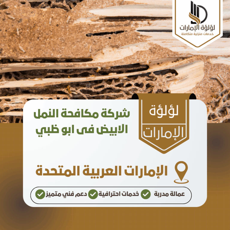 شركة مكافحة النمل الابيض فى ابو ظبي