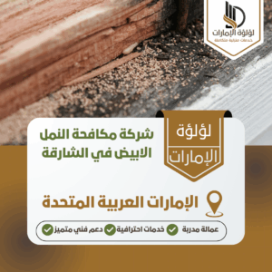 شركة مكافحة النمل الابيض في الشارقة شركة مكافحة النمل الابيض في الشارقة
