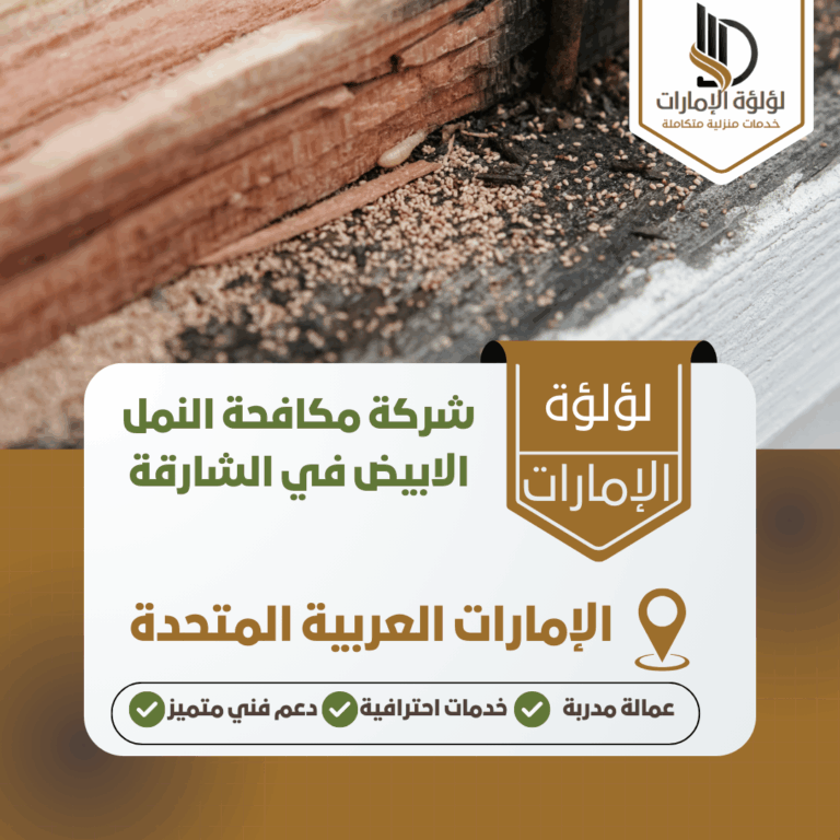 شركة مكافحة النمل الابيض في الشارقة