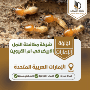 شركة مكافحة النمل الابيض في ام القيوين شركة مكافحة النمل الابيض في ام القيوين