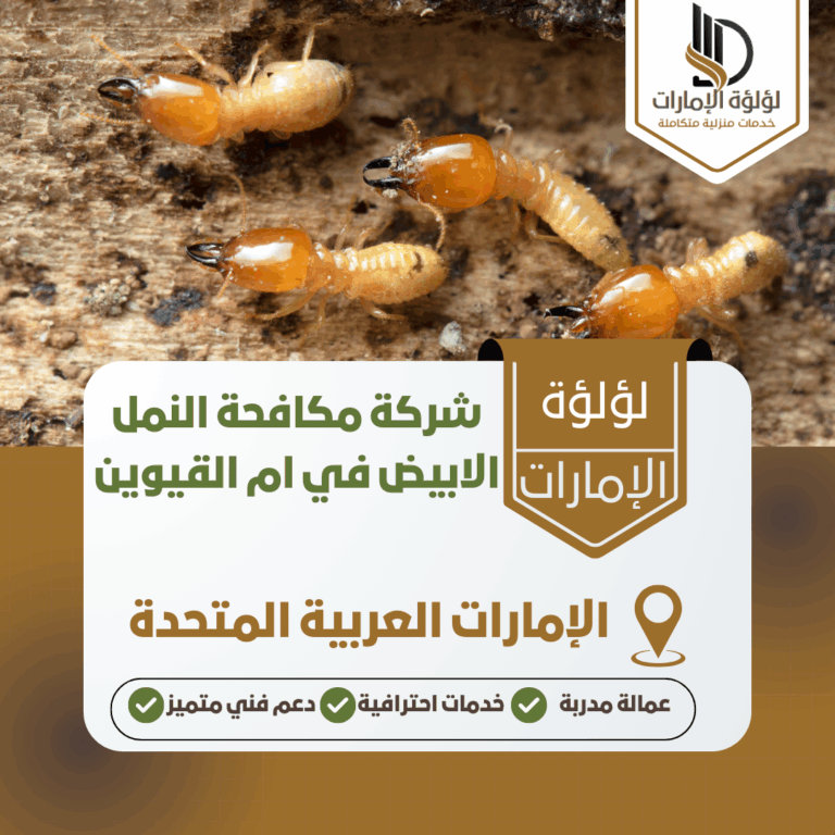 شركة مكافحة النمل الابيض في ام القيوين
