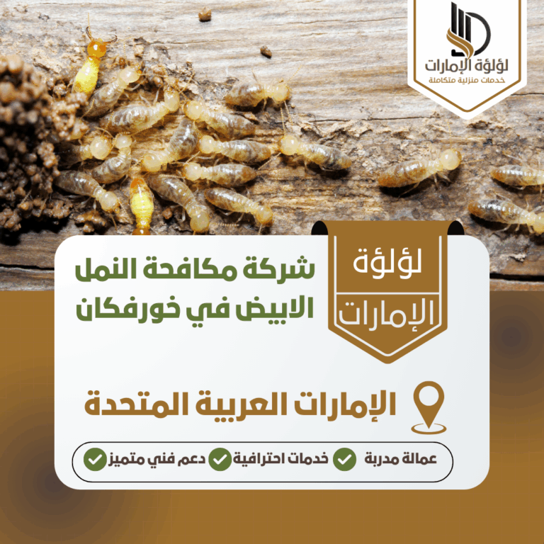 شركة مكافحة النمل الابيض في خورفكان