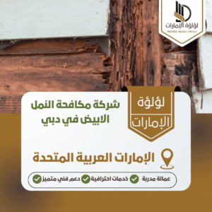 شركة مكافحة النمل الابيض في دبي شركة مكافحة النمل الابيض في دبي