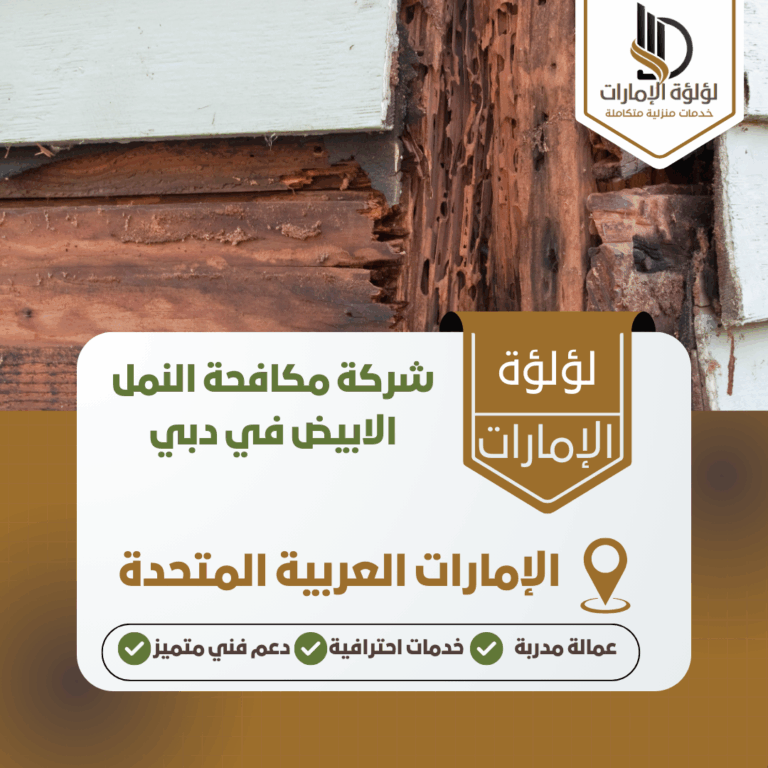 شركة مكافحة النمل الابيض في دبي