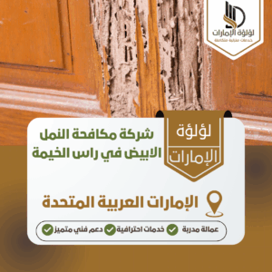 شركة مكافحة النمل الابيض في راس الخيمة شركة مكافحة النمل الابيض في راس الخيمة