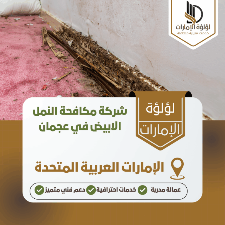 شركة مكافحة النمل الابيض في عجمان