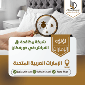 شركة مكافحة بق الفراش في خورفكان شركة مكافحة بق الفراش في خورفكان