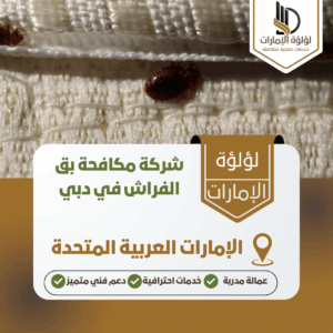 شركة مكافحة بق الفراش في دبي شركة مكافحة بق الفراش في دبي