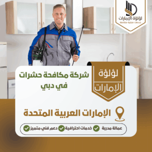 شركة مكافحة حشرات في دبي شركة مكافحة حشرات في دبي