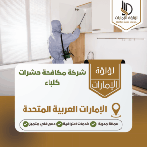 شركة مكافحة حشرات كلباء شركة مكافحة حشرات كلباء