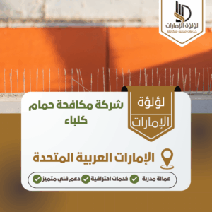 شركة مكافحة حمام كلباء شركة مكافحة حمام كلباء